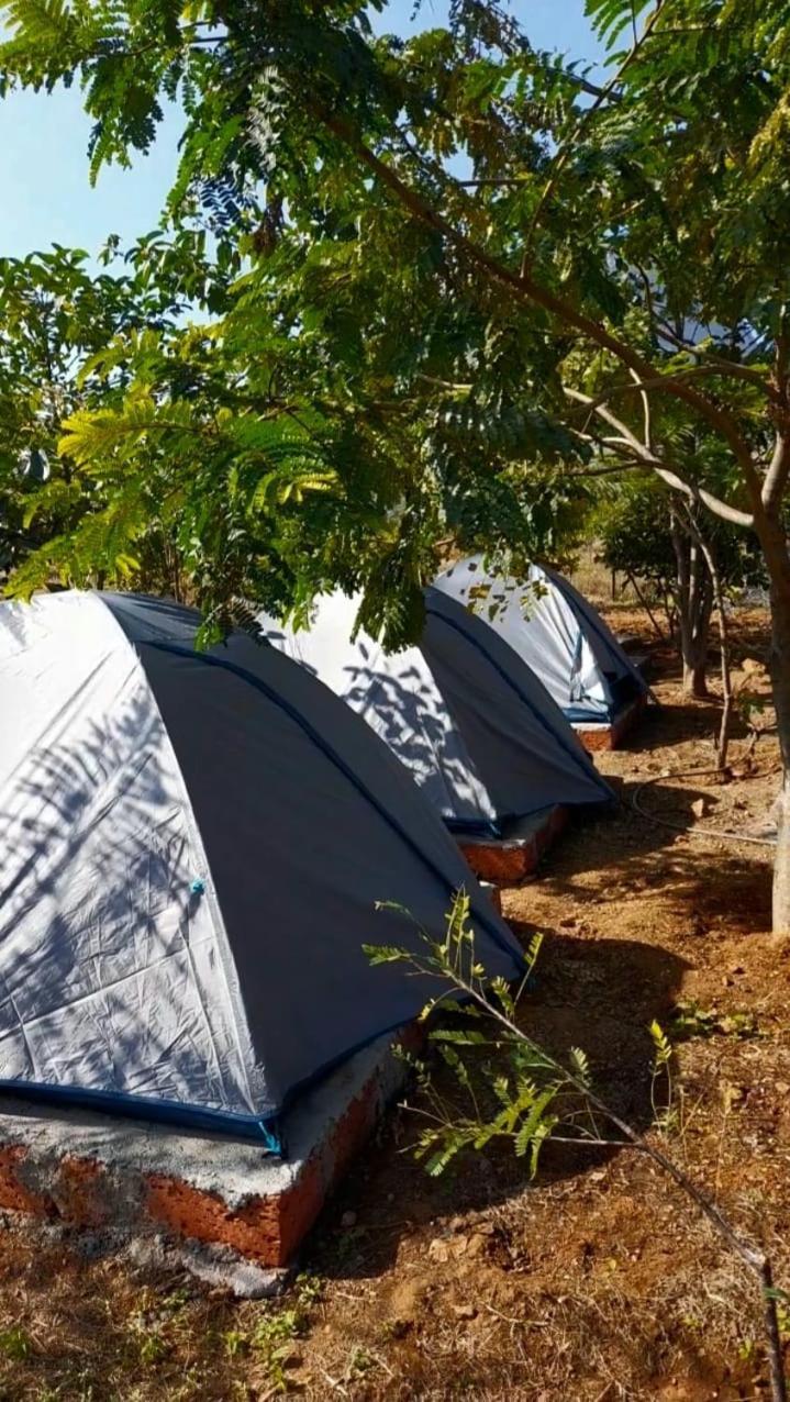 Umbartha Resort Naneghat Ghātghar المظهر الخارجي الصورة